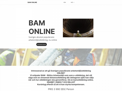 bamonline.se snapshot