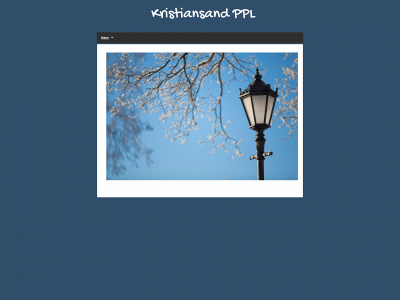 politipensjonisten.com snapshot