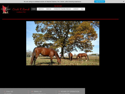 keenonhorses.com snapshot