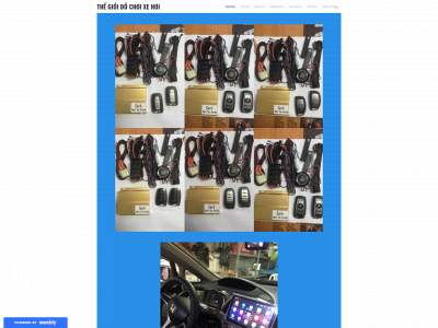 dochoixehoi886.weebly.com snapshot