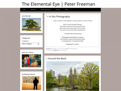 theelementaleye.com snapshot