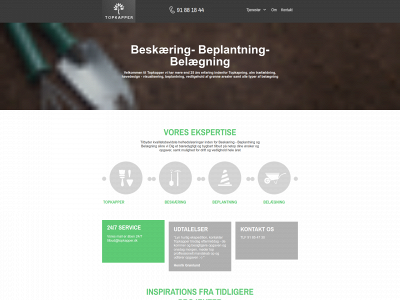 topkapper.com snapshot