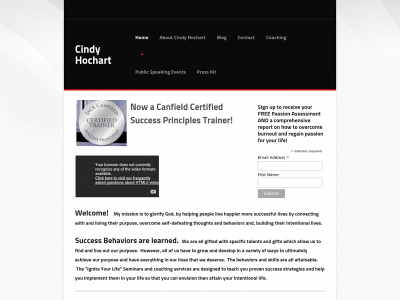 cindyhochart.com snapshot