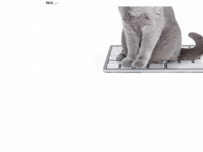 rrcookiejar.wixsite.com snapshot