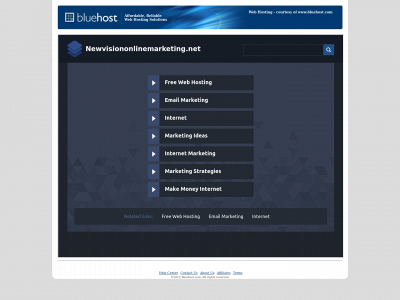 newvisiononlinemarketing.net snapshot