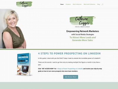 catherinecrigger.com snapshot