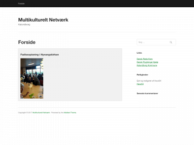 multikulturelt-netvaerk.dk snapshot