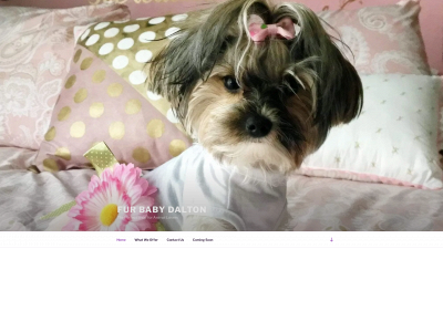 furbabydalton.com snapshot