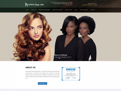 sinkorsalon.com snapshot