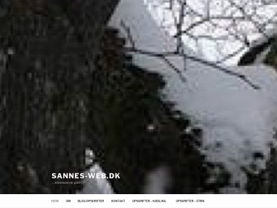 sannes-web.dk snapshot