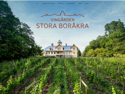 storaborakra.se snapshot