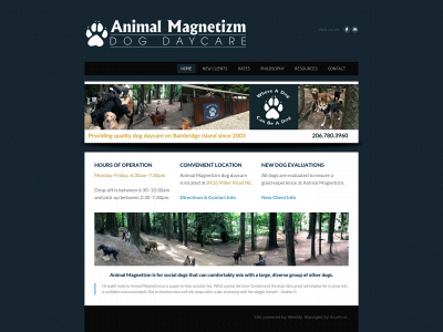 animalmagnetizm.com snapshot