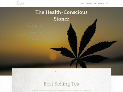 thehealthconsciousstoner.com snapshot