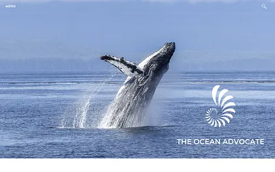 www.theoceanadvocate.com snapshot