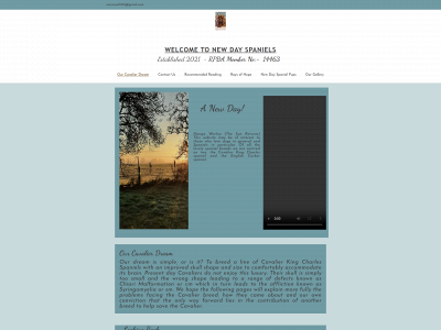 newdayspaniels.com snapshot