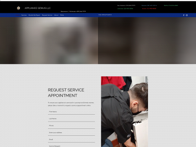 appliancegenius.com snapshot