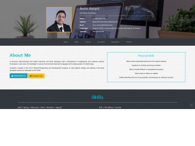 aminamani.net snapshot
