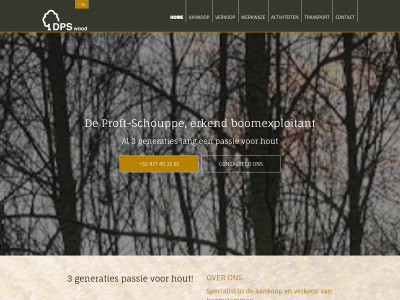 dpswood.be snapshot
