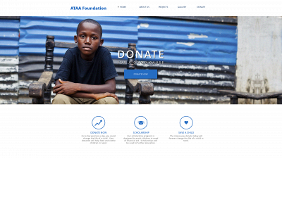 ataa-foundation.com snapshot