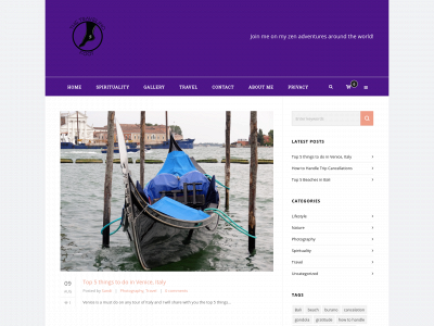 thetravelingfoot.com snapshot