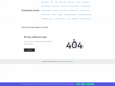 rodripasbe.com snapshot