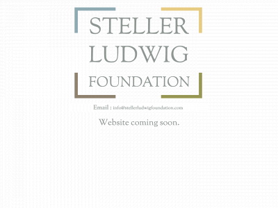 stellerludwigfoundation.com snapshot