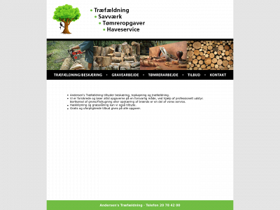 tsth.dk snapshot