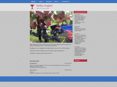 fjelbyvin.dk snapshot