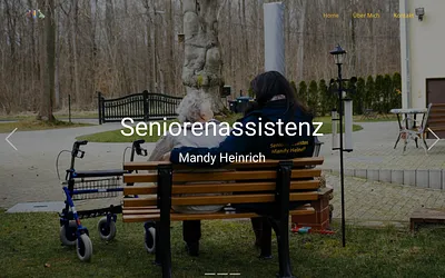 seniorenassistenz-heinrich.de snapshot