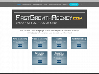fastgrowthagency.com snapshot