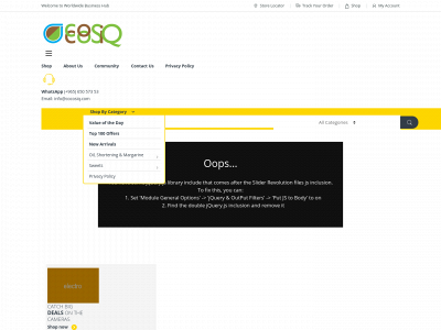 cocosiq.com snapshot