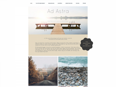 adastra.rehab snapshot