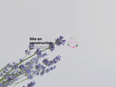 alterrenative.ch snapshot