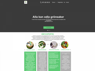 akogron.se snapshot