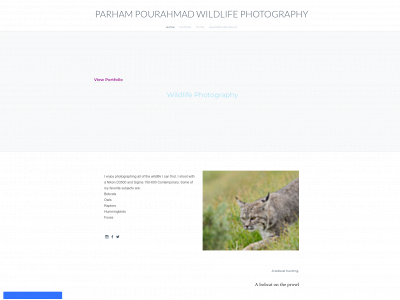parhampourahmad.weebly.com snapshot