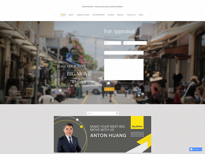 www.teamanton.net snapshot