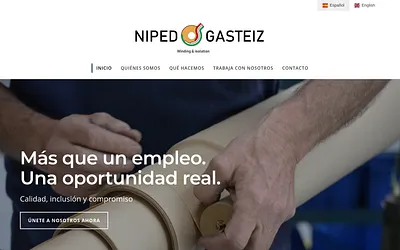 nipedgasteiz.es snapshot