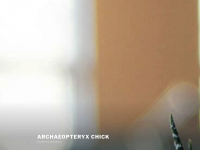 archaeopteryxchick.com snapshot