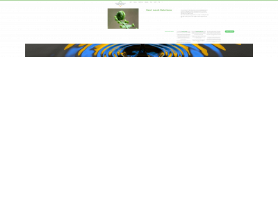 nextlevelhorticulture.net snapshot