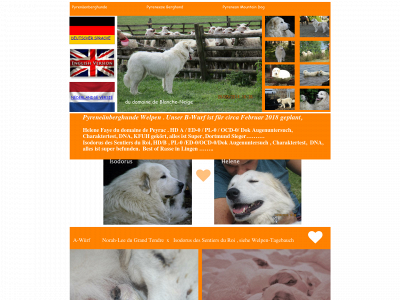 pyreneese-berghond-du-domaine-de-blanche-neige.com snapshot