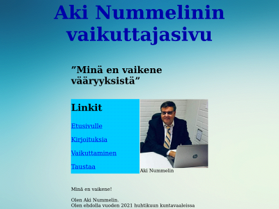 akinummelin.fi snapshot