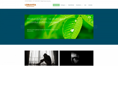 psichiatrai.lt snapshot