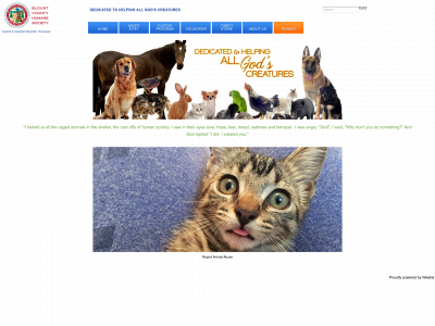 blountcountyhumanesociety.weebly.com snapshot