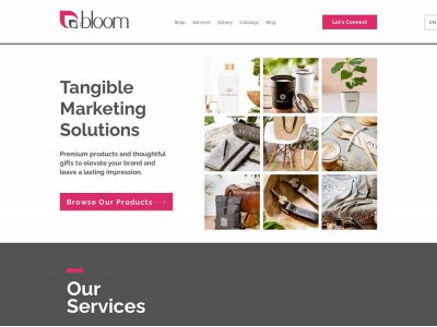 bloompromotion.com snapshot