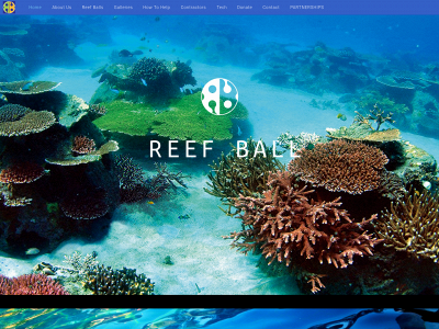 reefballfoundation.org snapshot