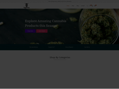 rygt1shop.com snapshot