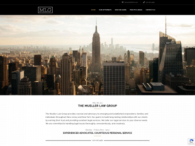 muellerfirm.com snapshot