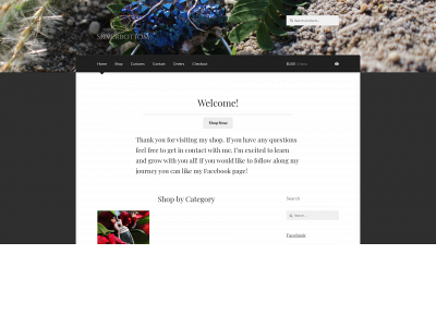 silverbottom.com snapshot