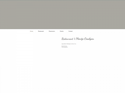 tpleintje.be snapshot