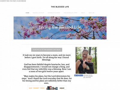 www.blessedlifewithchildren.com snapshot